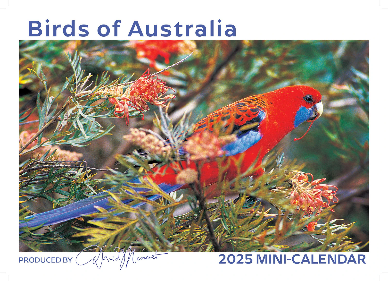 2025 Calendar Birds of Australia Mini Wall David Messent MB