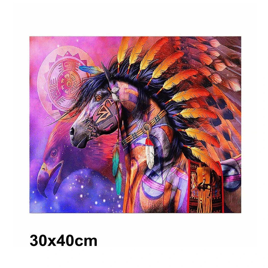 5D Diamond Art Painting 30x40cm Canvas Kit Indian Horse