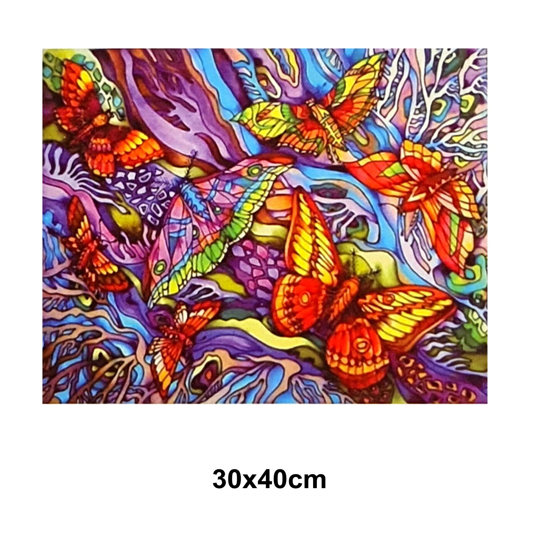 5D Diamond Art Painting 30x40cm Canvas Kit Colourful Butterflies