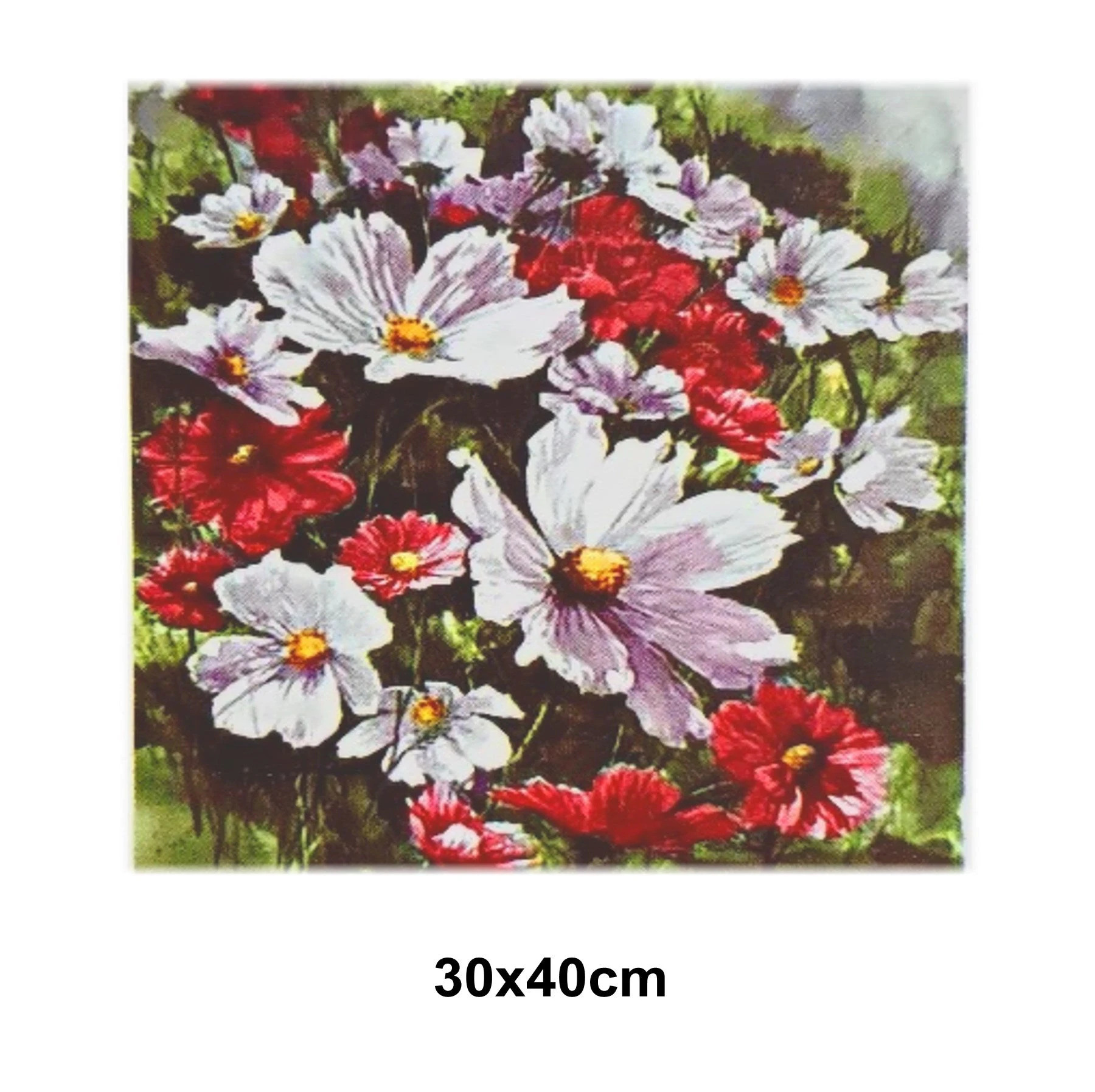 5D Diamond Art Painting 30x40cm Canvas Kit Flower Garden