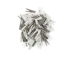 48 Pack Pegs,White and Grey - Anko