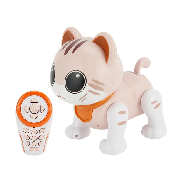 RC Robo Cat