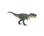 Dino Planet Tyrannosaurus Rex Toy