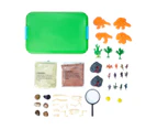 Dinosaur Discovery Sensory Bin Set, Assorted - Anko