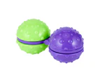 Fidget Dual Ball