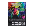 Grow & Glow Crystals Kit - Anko