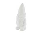 Paint Your Own Gnome, 15 Piece Set - Anko