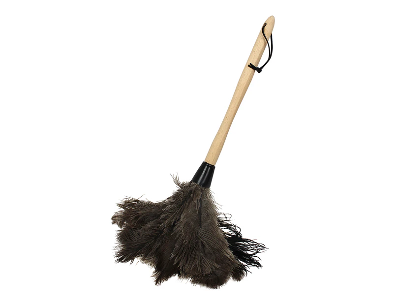 Feather Cleaning Duster Naturals, Genuine Ostrich, Effective Cleaning