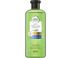 Herbal Essences Potent Aloe & Eucalyptus Strength & Moisture Shampoo 400ml