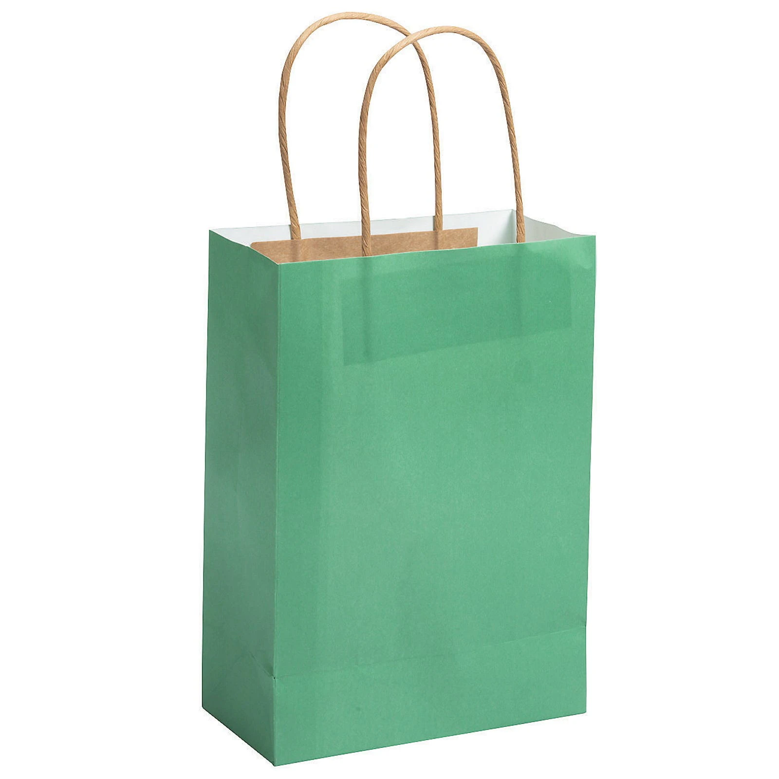 Green Paper Gift Bags (Pack of 12)