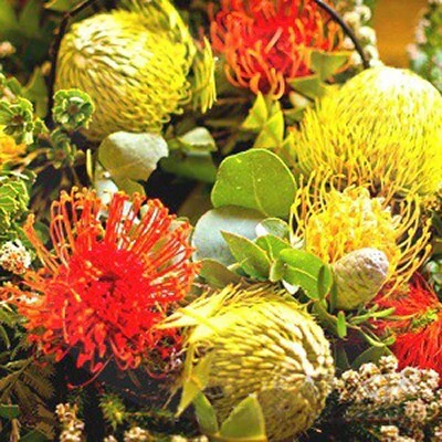 Australian Florals & Honey - Fragrance Oil