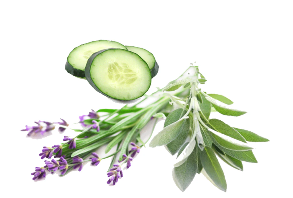 Lavender Cucumber Sage - Fragrance Oil