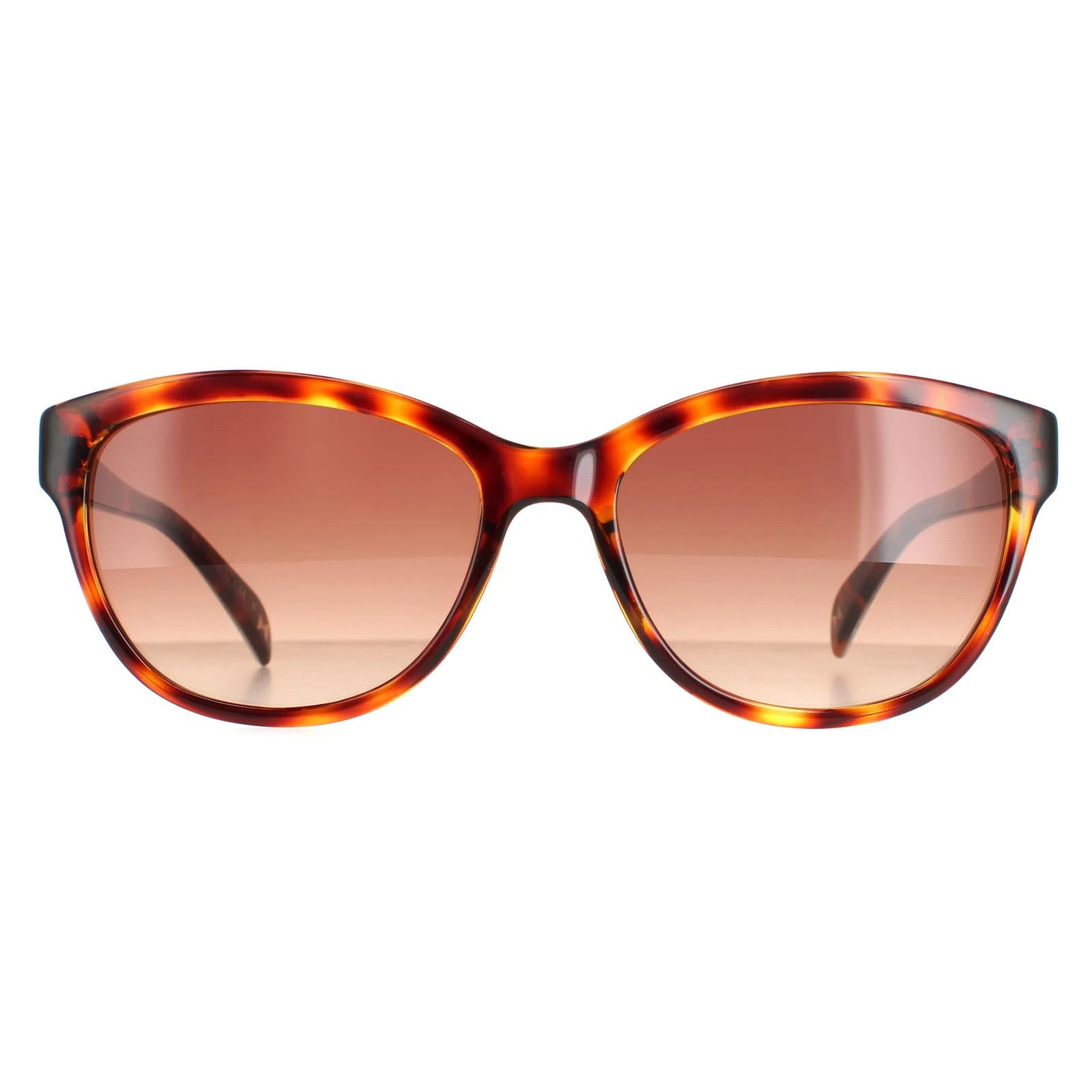 Ted Baker Sunglasses TB1605 Amie 121 Havana Brown Brown Gradient