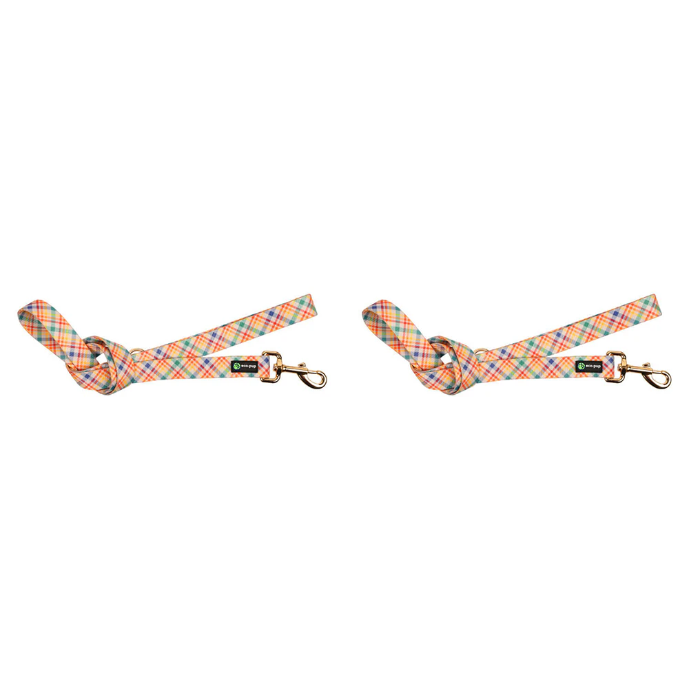 2x Eco-Pup Dog Outdoor Walking Durable Lead/Leash 120cmx25mm Check Pattern