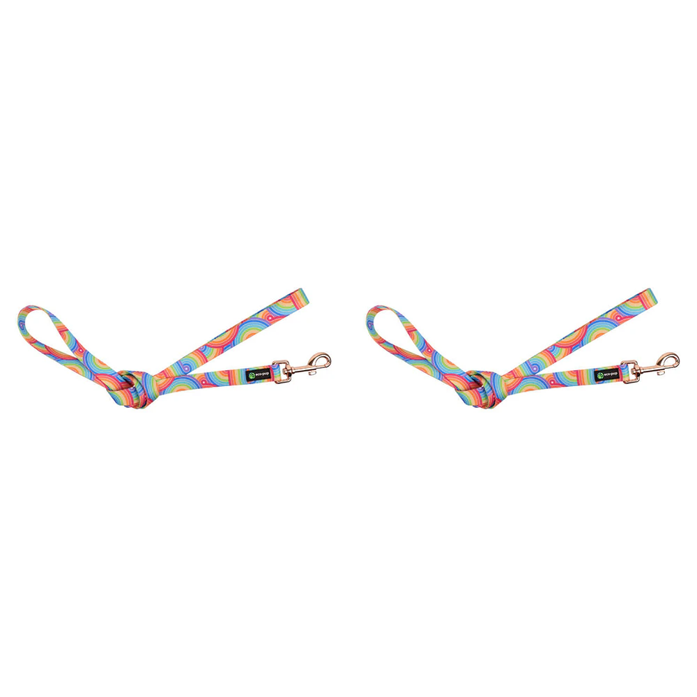 2x Eco-Pup Dog Outdoor Walking Durable Lead/Leash 120cmx20mm Rainbow Pattern