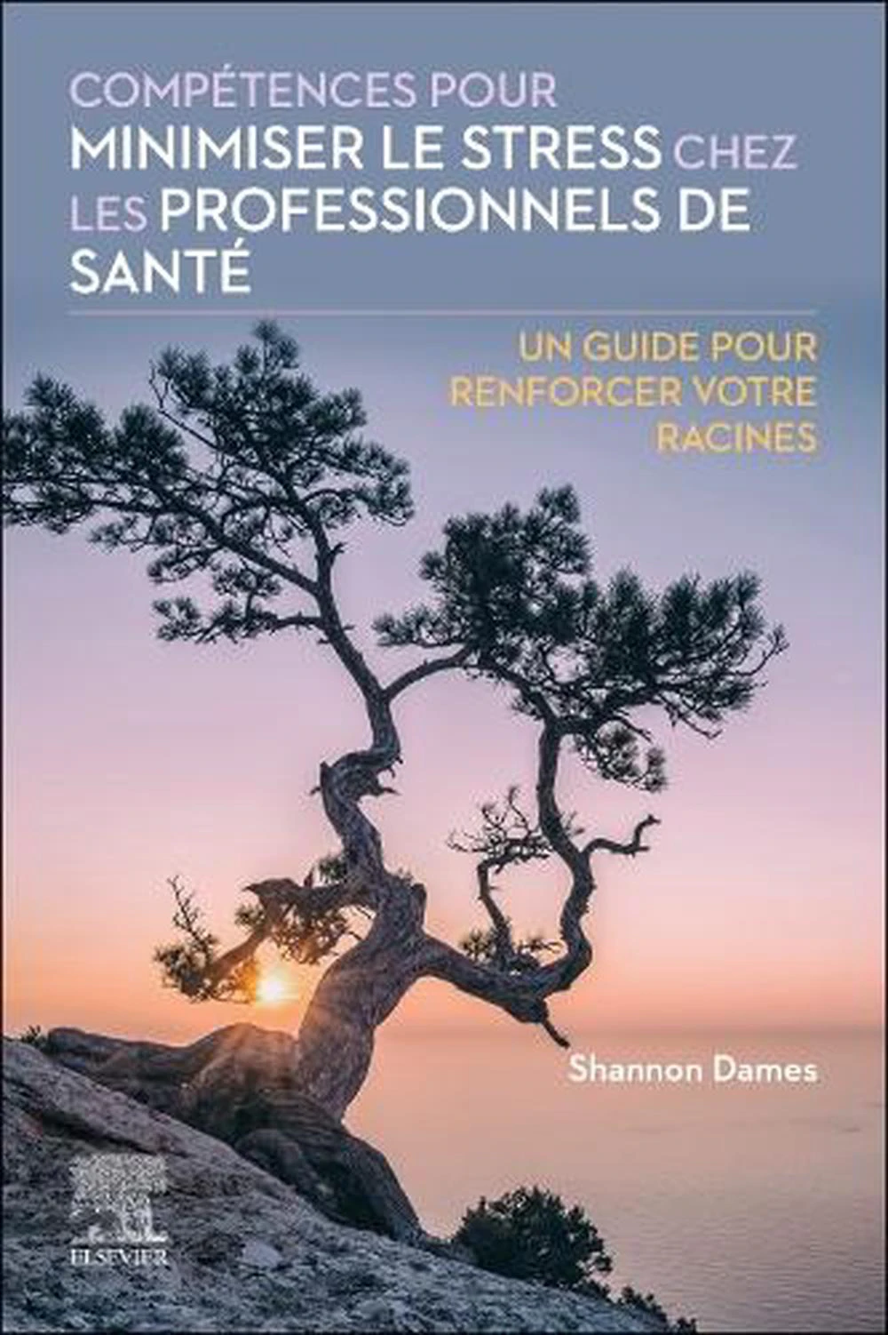 Competences pour minimiser le stress chez les professionnels de sante by Dames & Shannon & RN & MPH & EdD Professor & Bachelor of Science in Nursing & Hat