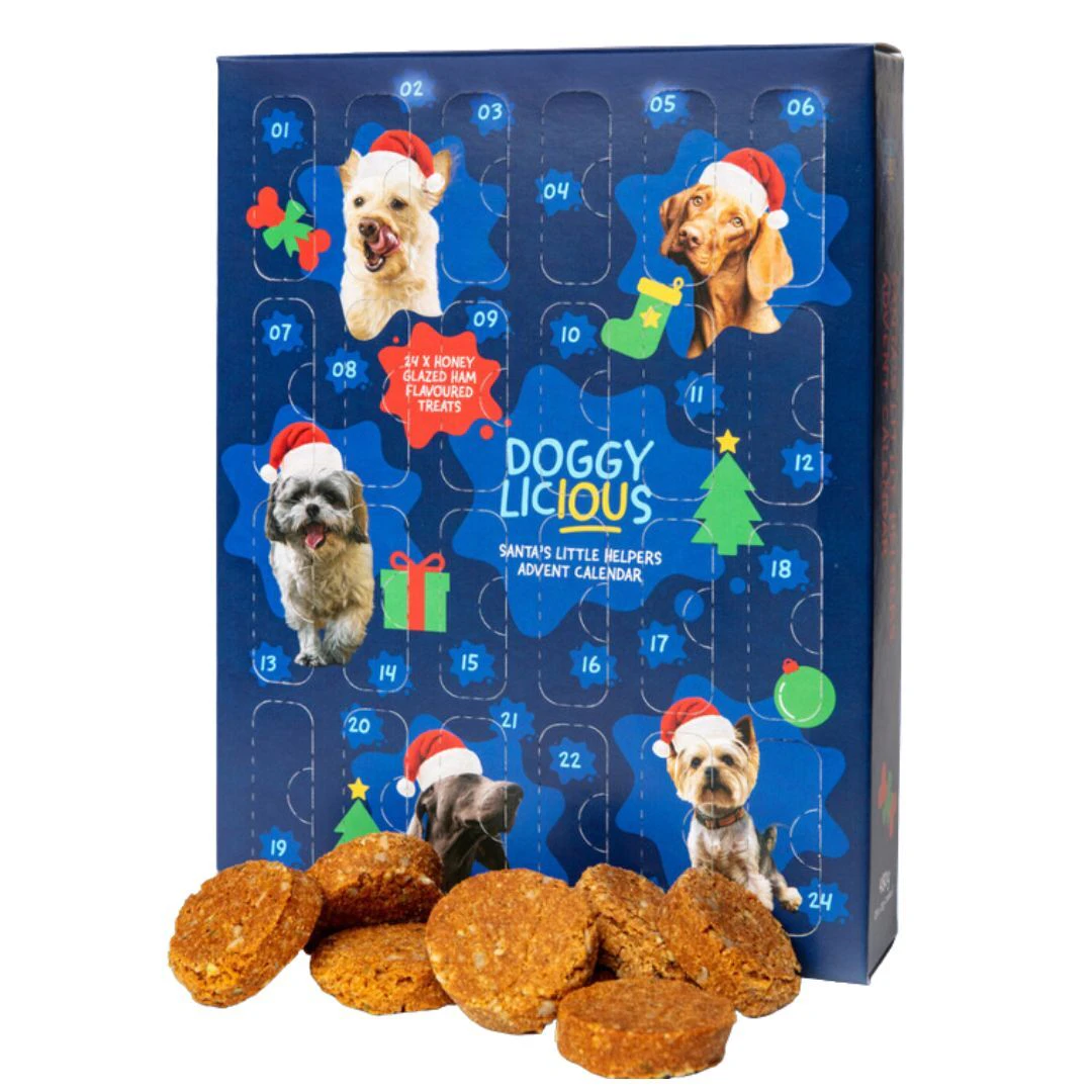 Advent Calendar for Dogs & Puppies with Honey Glazed Ham Flavour Treat