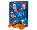 Advent Calendar for Dogs & Puppies with Honey Glazed Ham Flavour Treat