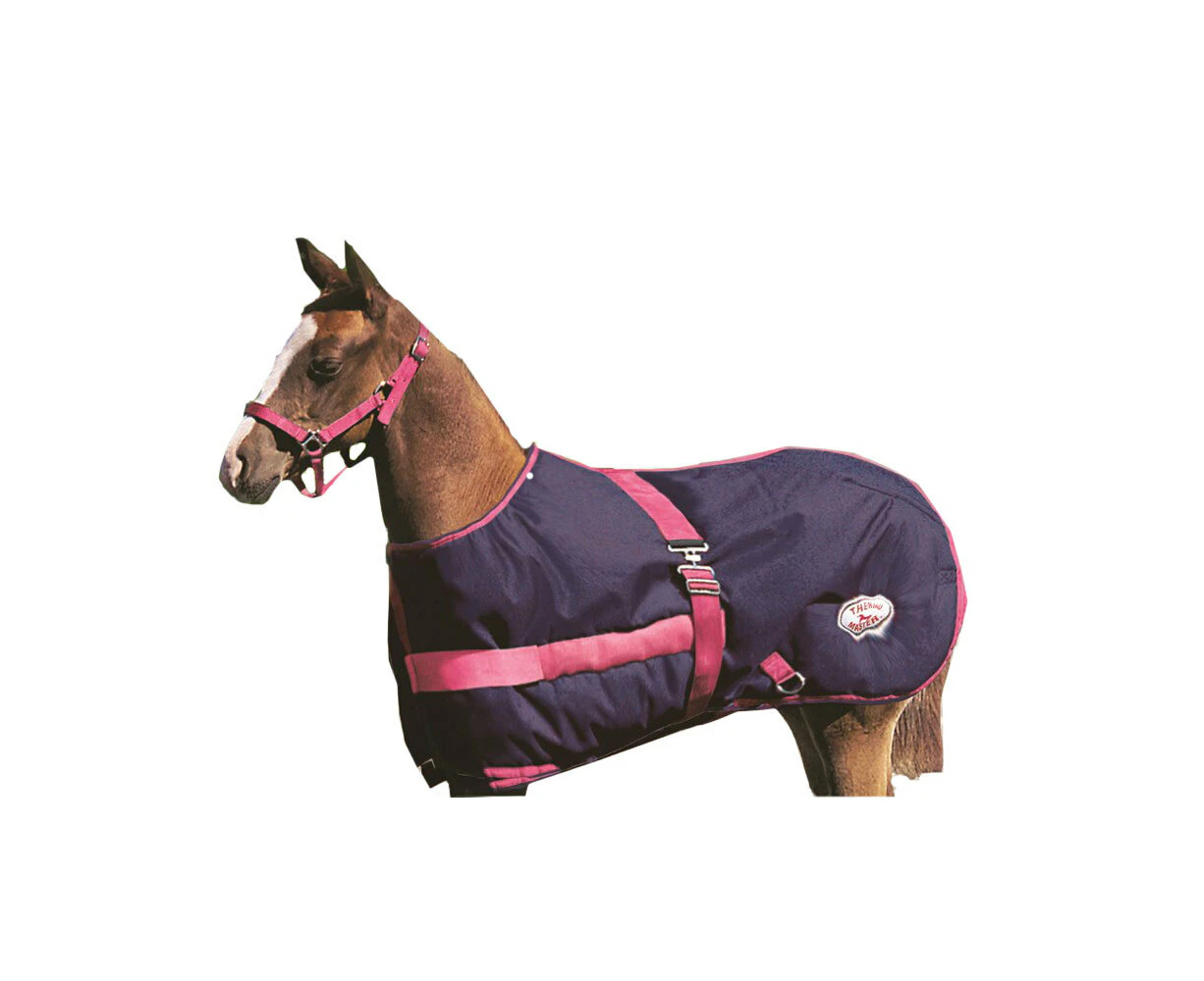 Thermo Master Growing Foal Rug Teal or Navy - Green