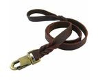 Strong Durable Braided Handmade Pet Leash For Dogs - Chocolate