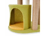 Cat Tower Novelty Fruit - Anko