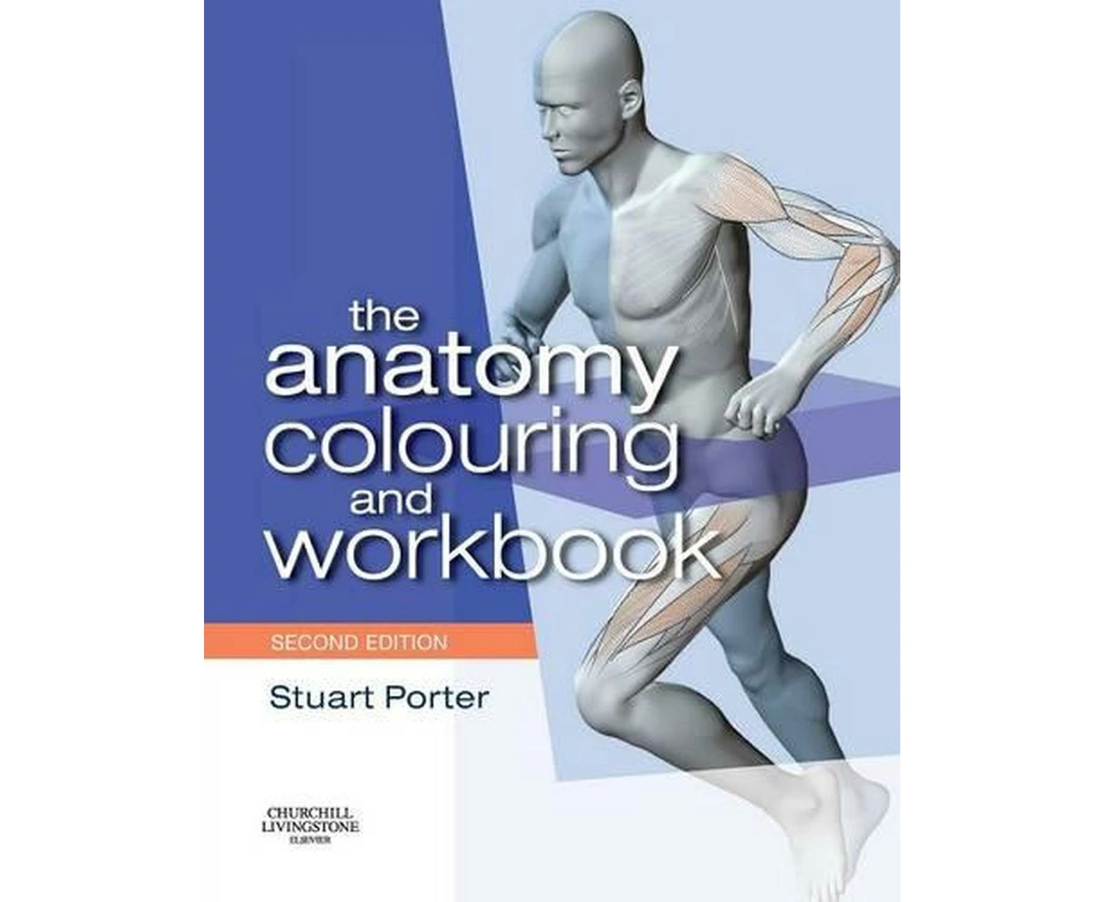 The Anatomy Colouring and Workbook