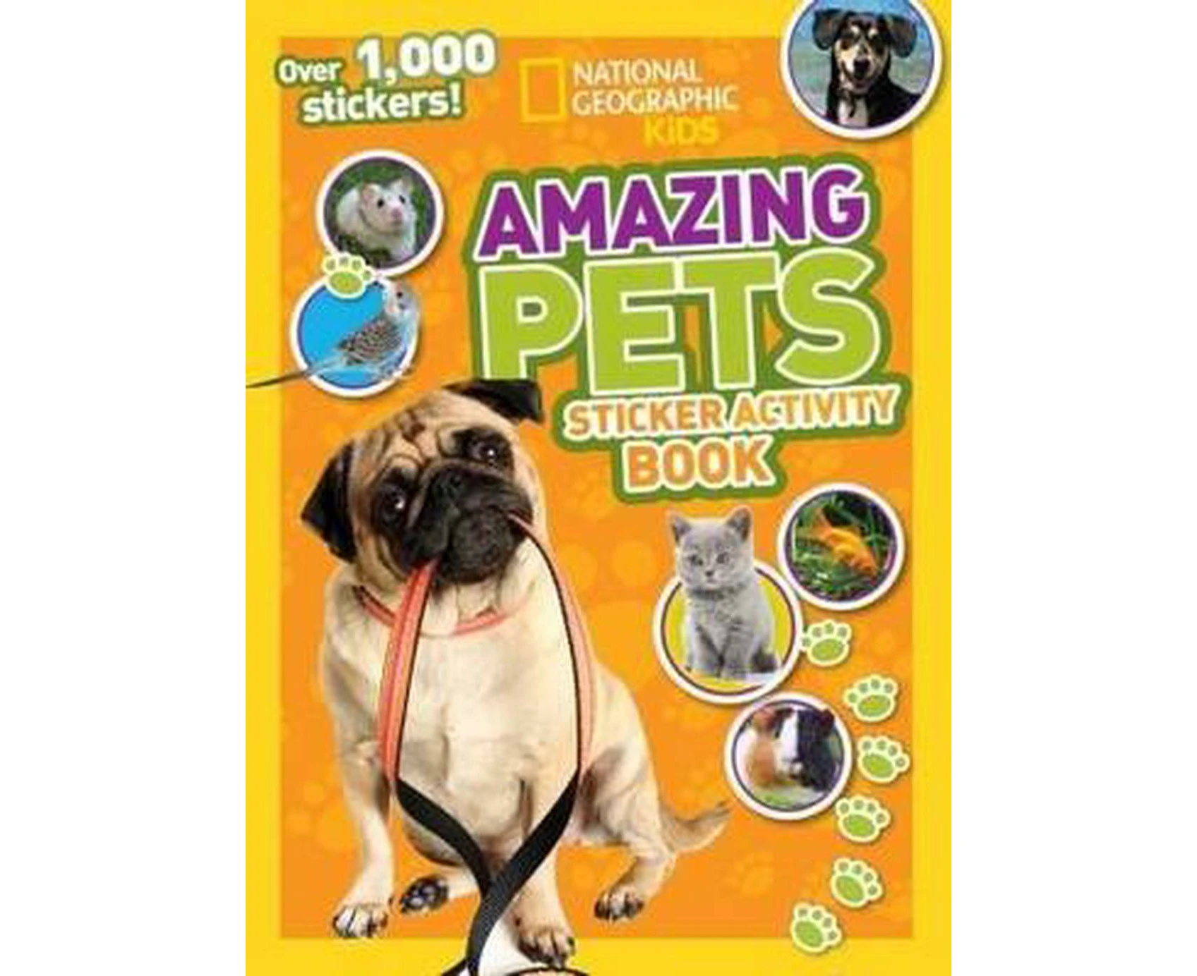 Amazing Pets Sticker Activity Book