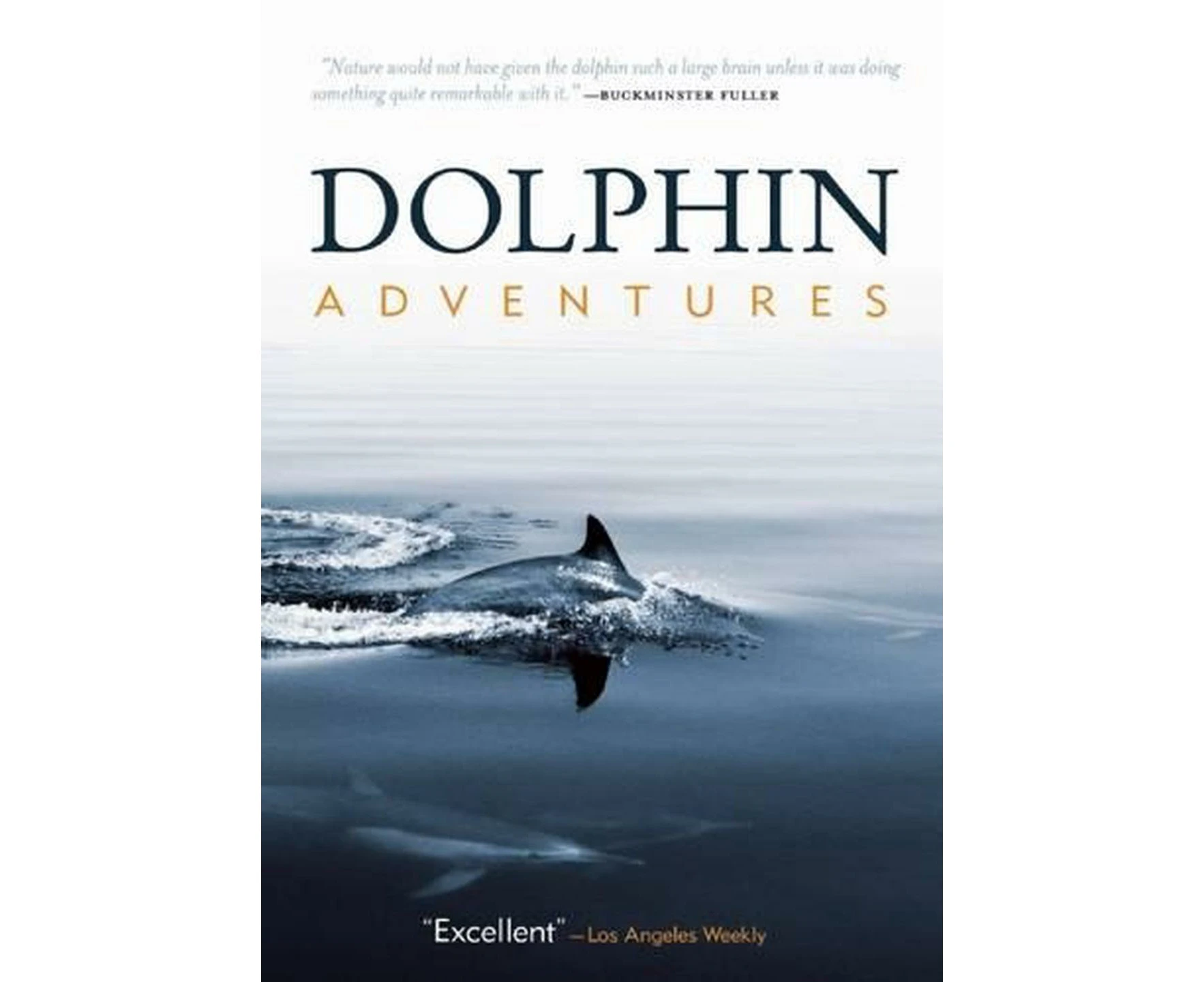 Dolphin Adventures