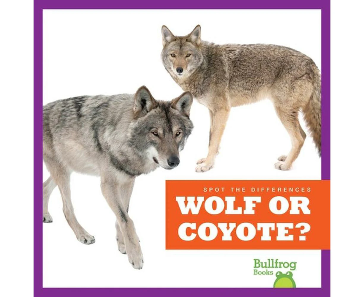 Wolf or Coyote?