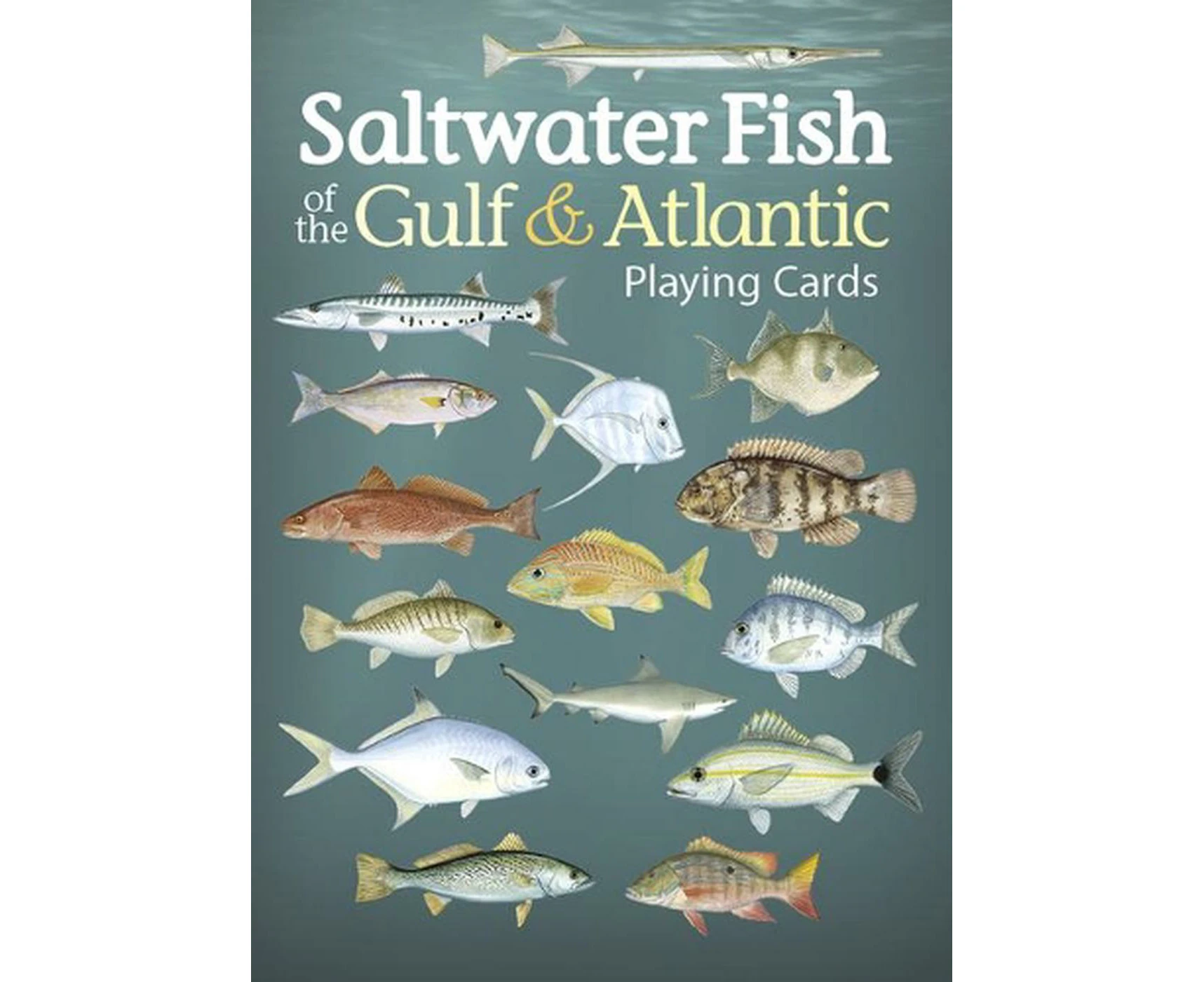 Saltwater Fish of the Gulf & Atlantic Playing Cards