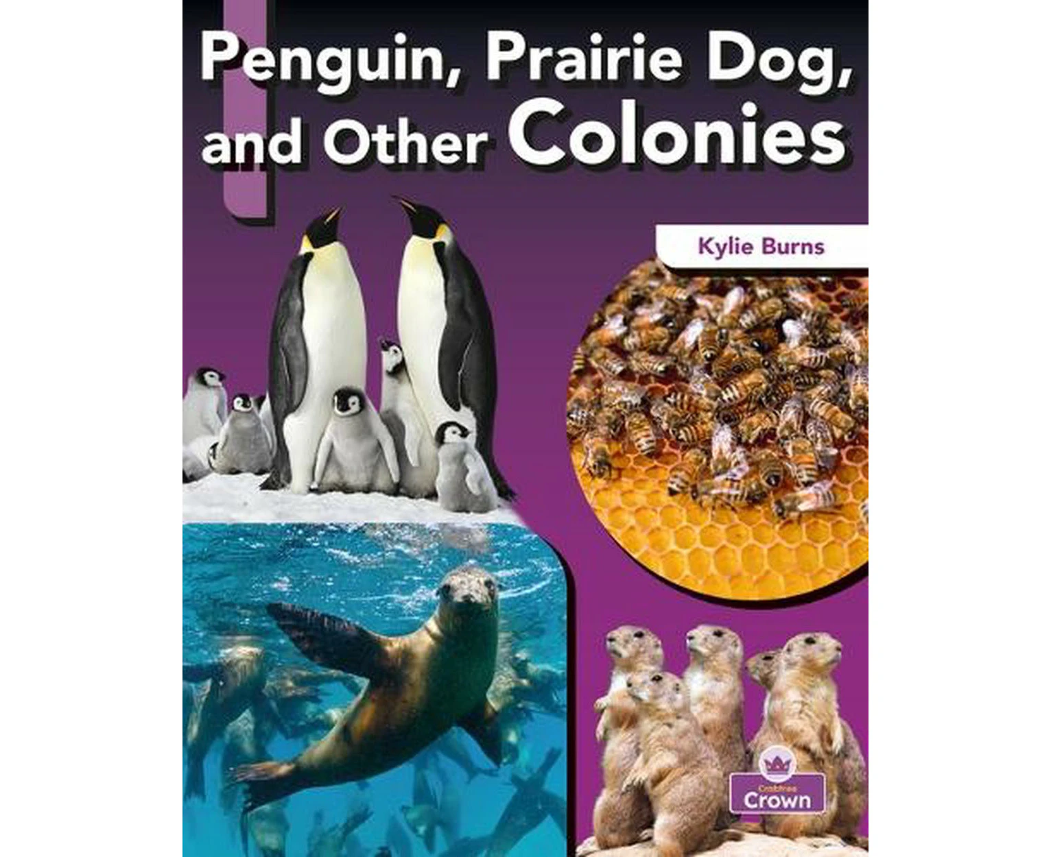 Penguin, Prairie Dog, and Other Colonies