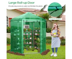 Costway Walk-In Greenhouse Garden Shed Green House w/ Metal Frame PE Cover Plant Flower Tent