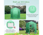 Costway Walk-In Greenhouse Garden Shed Green House w/ Metal Frame PE Cover Plant Flower Tent