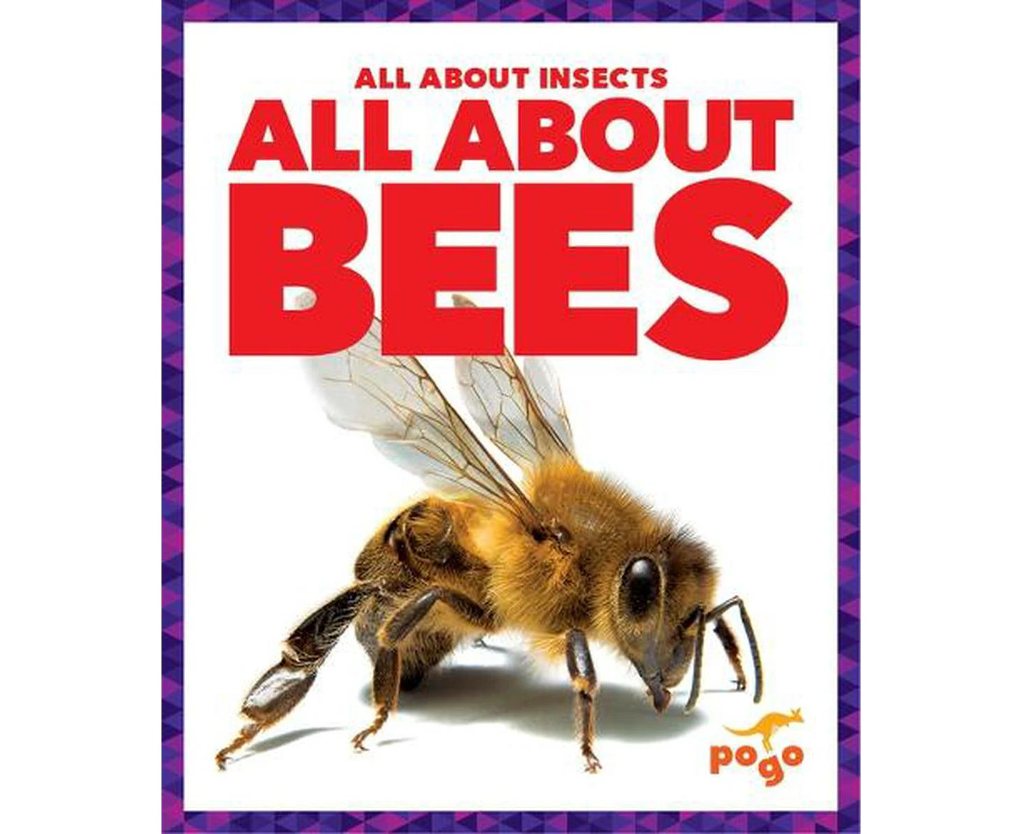 All about Bees