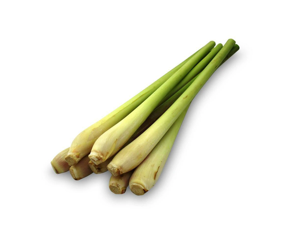 Wild Lemongrass - Fragrance Oil