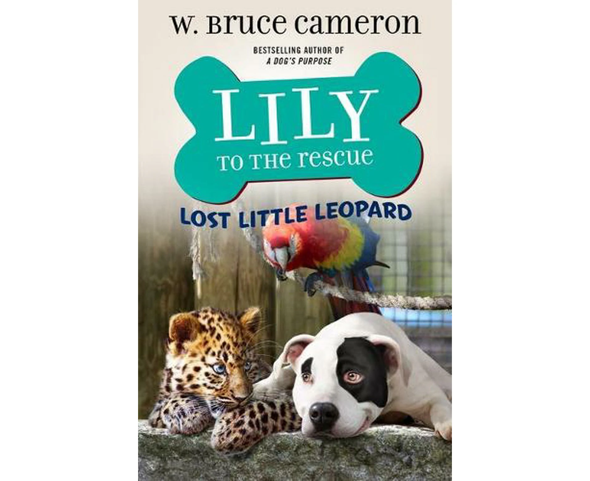 Lily to the Rescue: Lost Little Leopard