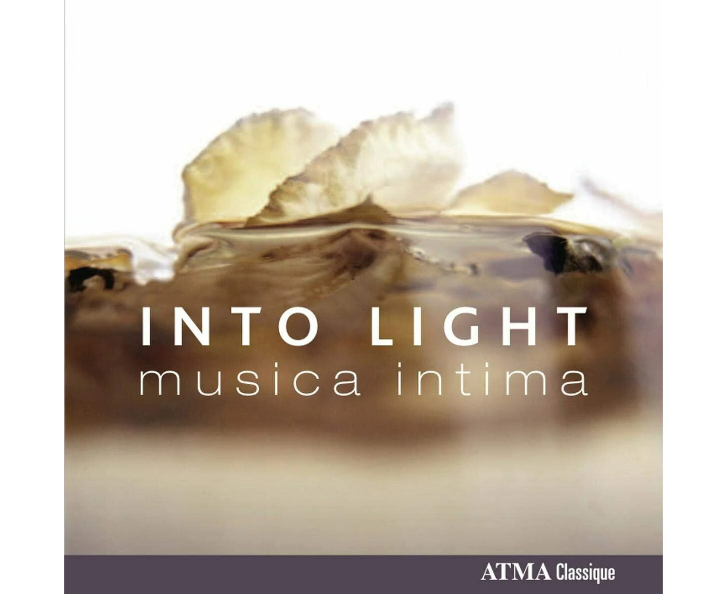 Into Light - VARIOUS ARTISTS CD