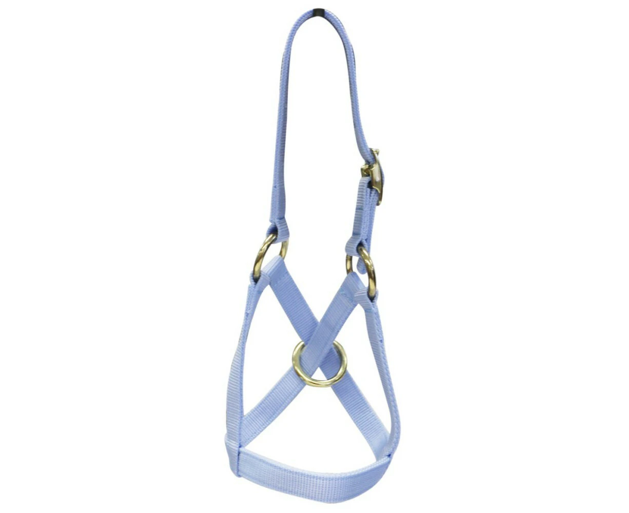 Halter Alpaca Goat Miniature Pony Roe Halter With Lead Medium Baby Blue