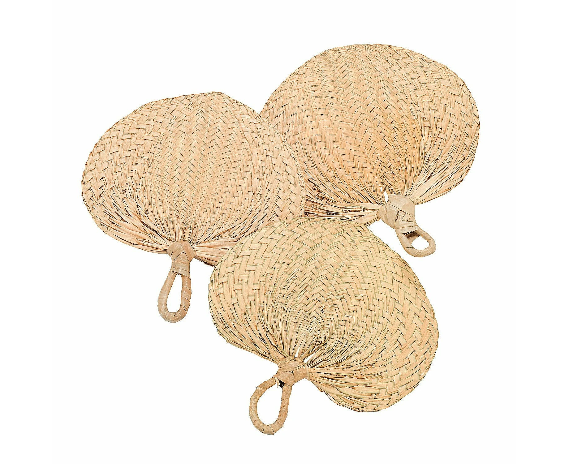 Natural Raffia Fans (Pack of 12)