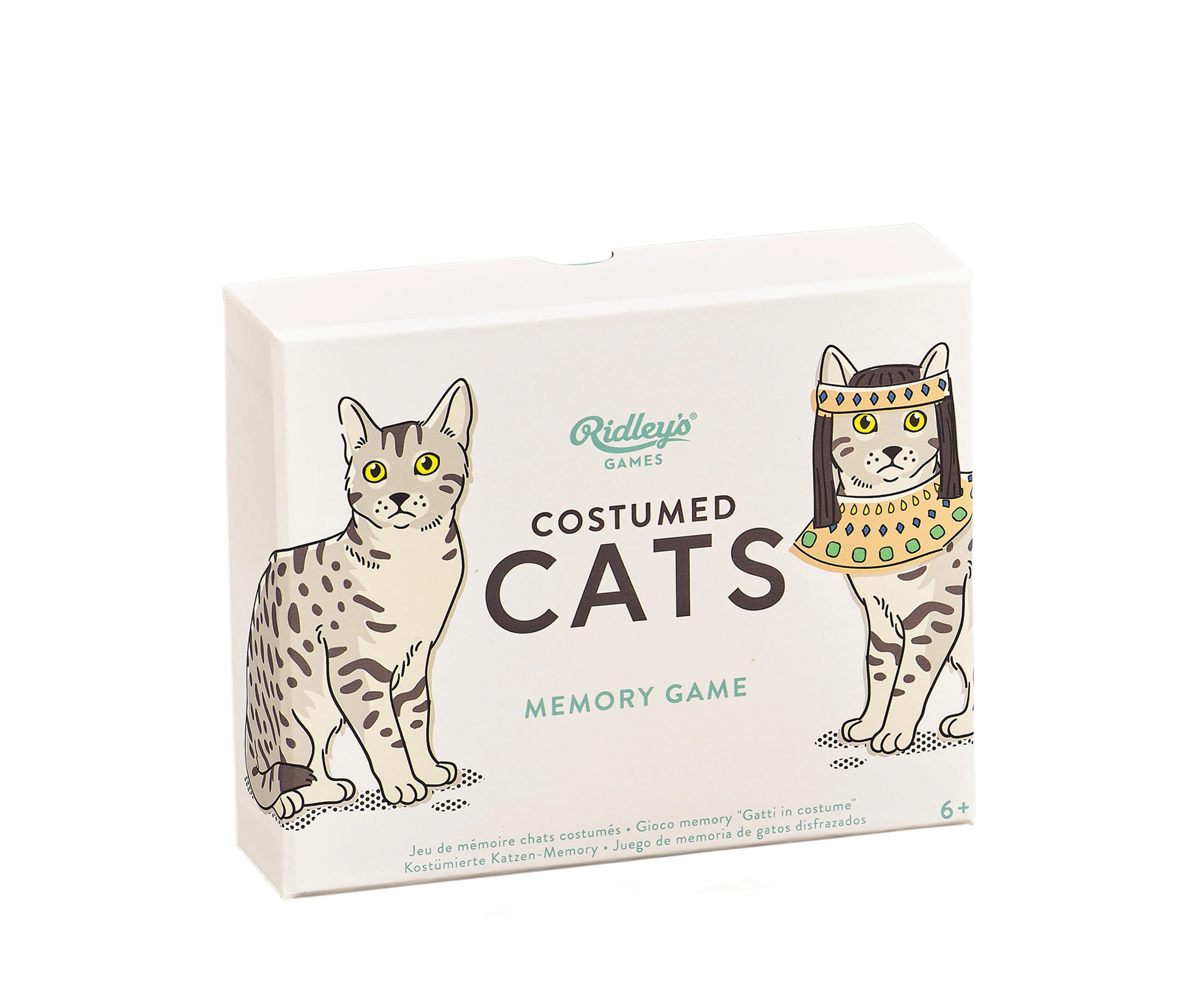 Ridleys - Costumed Cats Memory Game