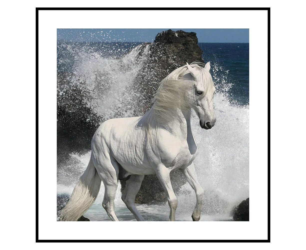 White Horse at the Ocean Framed Print Home/Room Decor Wall Display Glass/Plastic