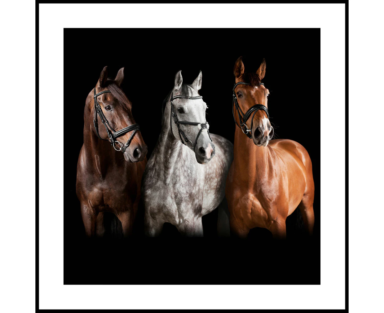 Three Horses Framed Print Home Decor Wall Display Square 45x45cm Glass/Plastic