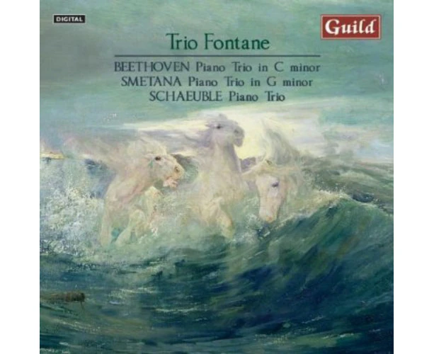 Trio Fontane - Piano Trio in C minor Op 1  [COMPACT DISCS] USA import