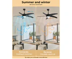 Spector 52'' Ceiling Fan LED Light DC Motor Remote Control 5 Speed Wooden Blade