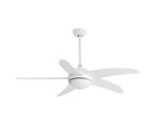 Spector Ceiling Fan 52'' DC Motor Wood Blades LED Light Remote Control 5 Speed