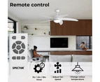 Spector Ceiling Fan 52'' DC Motor Wood Blades LED Light Remote Control 5 Speed