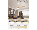 Spector 52'' Ceiling Fan LED Light DC Motor Remote Control 5 Speed Wooden Blade