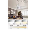 Spector Ceiling Fan 52'' DC Motor Wood Blades LED Light Remote Control 5 Speed