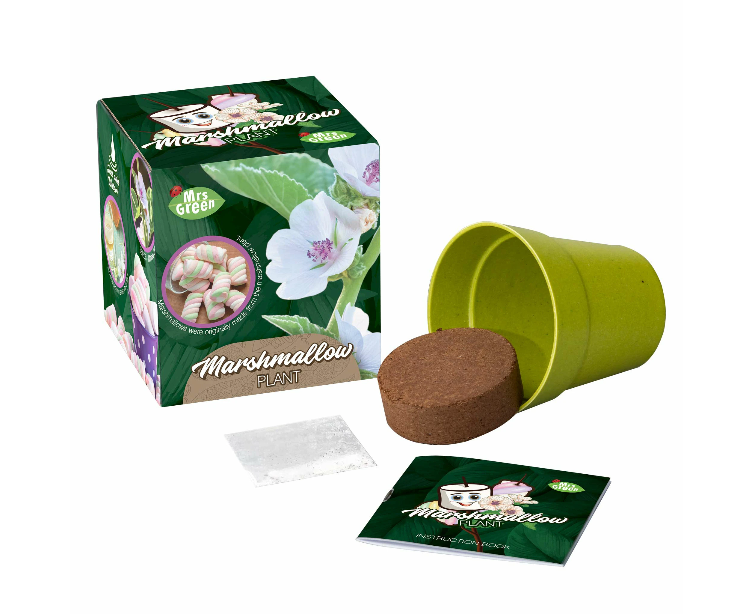 Grow Your Own Marshmallow Plant