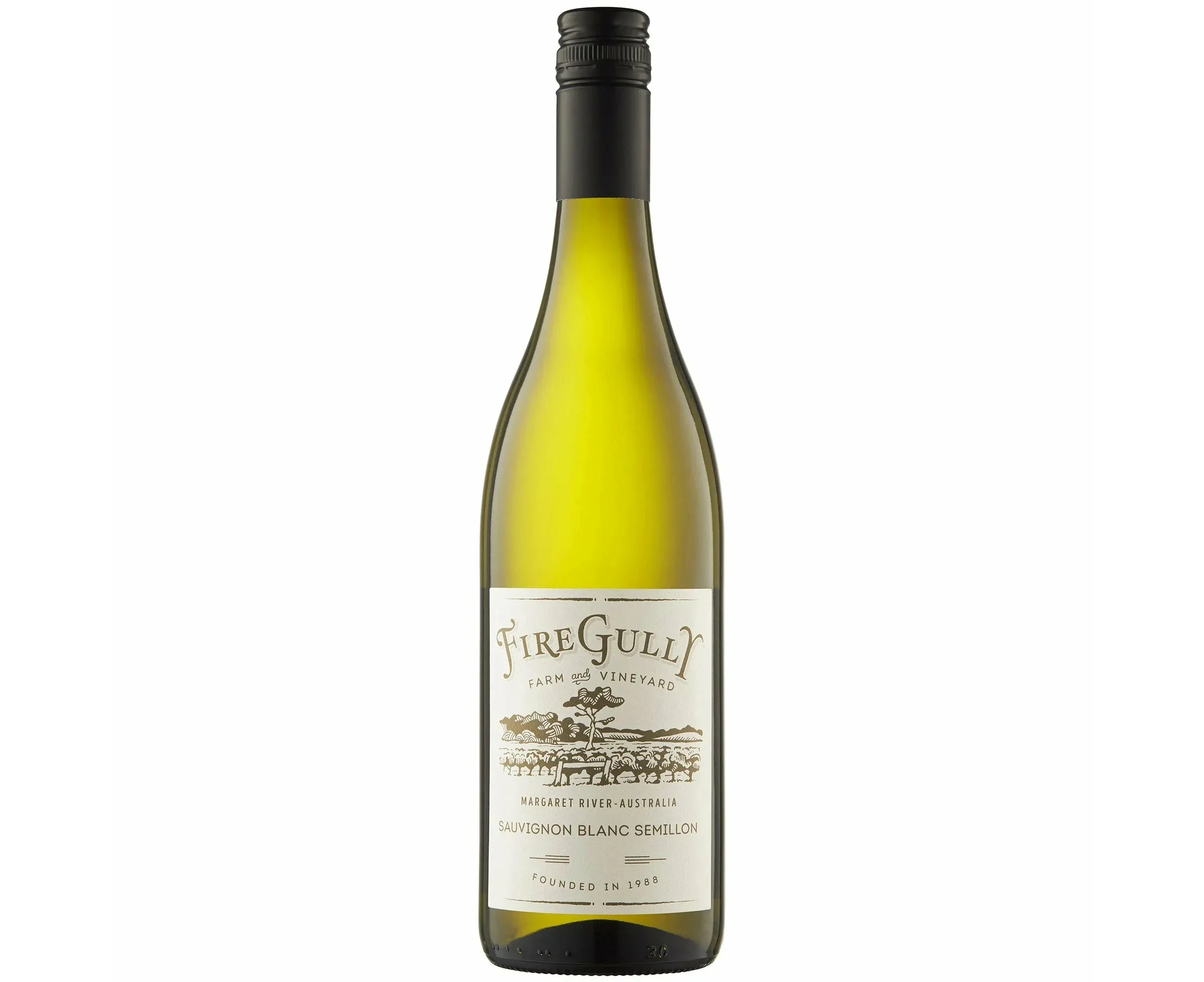 Fire Gully Margaret River Sauv Blanc Sem 2019 (12 Bottles)